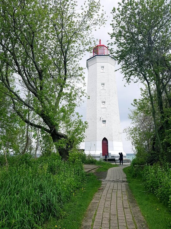 Beginner Tips for Taking Better Phone Photos